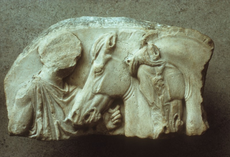 Jüngling mit zwei Pferden, Fragment XXII, 66