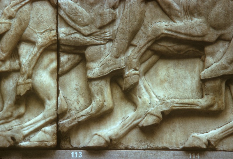 Pferdebeine, Detail aus 55070