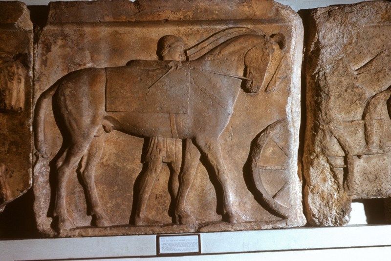 Jüngling führt Pferd, Teilplatte eines Frieses mit Pferden und Wagen, aus Xanthos, Klakstein, Höhe 85 cm, um 470 v. Chr.)