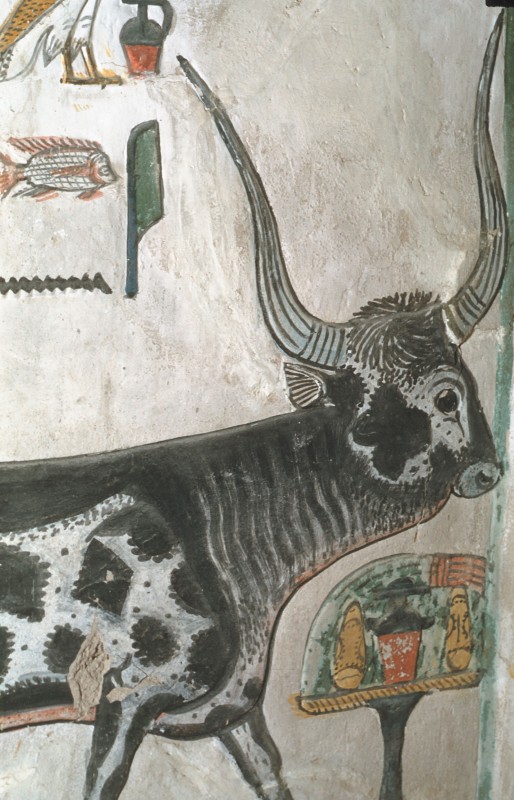 Gefleckte Kuh, Det. aus 36 840