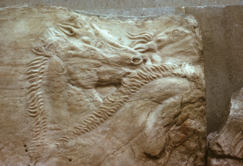 Pferdeköpfe, Detail aus 55100